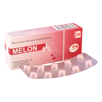 ЛЕКАРСТВЕННЫЕ СРЕДСТВА Мелон Мелон таб N30